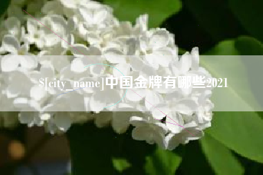钟祥中国金牌有哪些2021