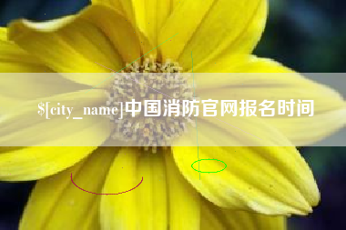 钟祥中国消防官网报名时间