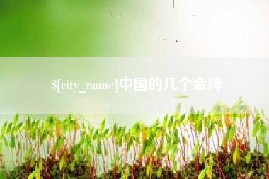 钟祥中国的几个金牌