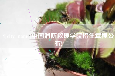 钟祥中国消防救援学院招生章程公布!