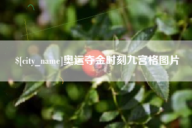 钟祥奥运夺金时刻九宫格图片