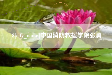 钟祥中国消防救援学院张勇