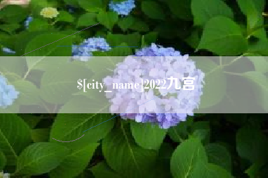 钟祥2022九宫