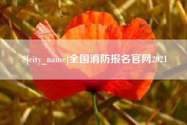 钟祥全国消防报名官网2021
