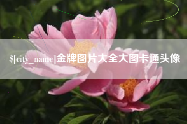 钟祥金牌图片大全大图卡通头像