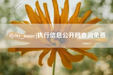 钟祥执行信息公开网查询免费