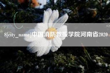 钟祥中国消防救援学院河南省2020