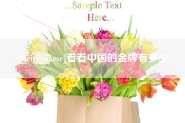 钟祥看看中国的金牌有多少